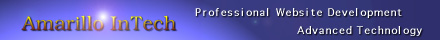 Professional Website Development